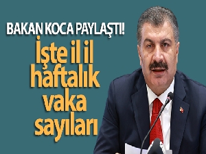 Bakan Koca paylaştı! İşte il il haftalık vaka sayıları