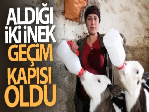 Aldığı iki inek geçim kapısına dönüştü