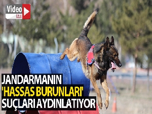 Türkiye'nin ilk spor temalı millet bahçesi