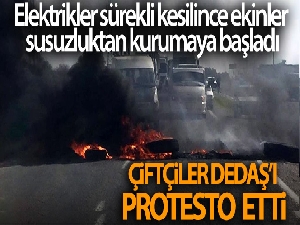 Şanlıurfa'da çiftçiler DEDAŞ'ı protesto etti