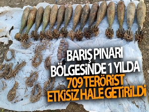 Barış Pınarı bölgesinde 1 yılda 709 terörist etkisiz hale getirildi