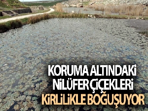 MSB: 'Yasa dışı yollardan Yunanistan'a geçmeye çalışan 5 FETÖ terör örgütü mensubu yakalandı'