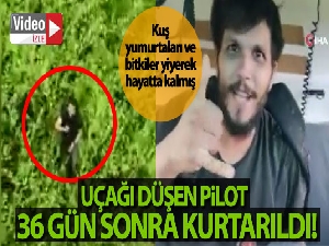 Brezilya'da uçağı düşen pilot, 36 gün sonra kurtarıldı