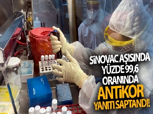 Sinovac aşısında yüzde 99,6 oranında antikor yanıtı saptandı