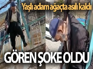 Yaşlı adam çıktığı ağaçta asılı kaldı