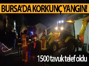 Yenişehir'de tavuk çiftliğinde yangın: 1500 tavuk telef oldu