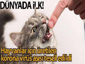 Dünyada ilk: Rusya'da hayvanlar için üretilen korona virüs aşısı tescil edildi