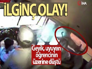 Öğrenci servisine çarpan geyik, uyuyan öğrencinin üzerine düştü