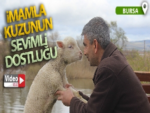 İmamla kuzunun sevimli dostluğu
