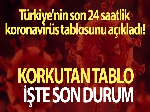 Son 24 saatte korona virüsten 193 kişi hayatını kaybetti