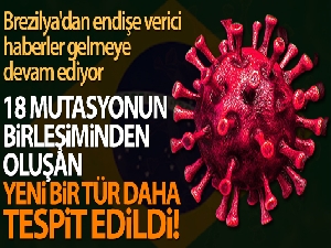 Brezilya'da yeni mutasyon: 18 türün birleşiminden oluşuyor