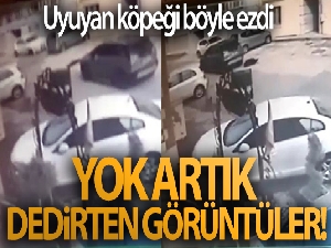 Bursa'da jip sürücüsünün uyuyan köpeği ezdiği anlar güvenlik kamerasına yansıdı