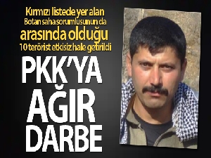 Şırnak'ta PKK'ya ağır darbe