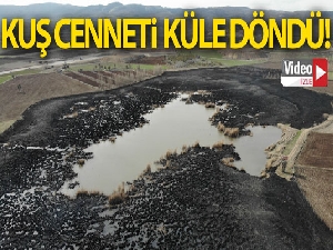 Kül olan Gölünyazı Kuş Cenneti havadan görüntülendi