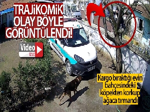Sakarya'da trajikomik olay