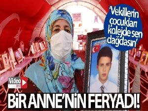 Evlat nöbetindeki annenin feryadı yürek dağladı