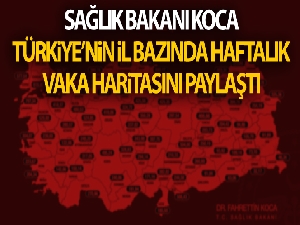Sağlık Bakanı Koca, Türkiye'nin il bazında haftalık vaka haritasını paylaştı