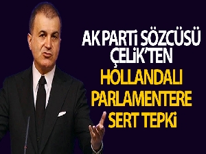 AK Parti Sözcüsü Çelik'ten Hollandalı parlamentere sert tepki