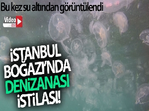 İstanbul Boğazı'nda denizanası istilası sualtından görüntülendi