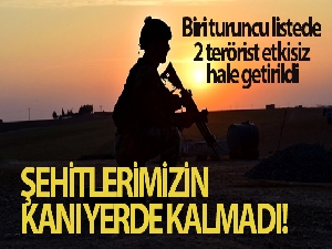 Şehitlerin kanı yerde kalmadı: 2 terörist öldürüldü