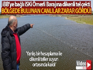 Ömerli Barajının içine dikenli tel çekildi, bölgede bulunan canlılar zarar gördü