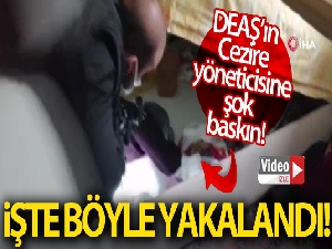 DEAŞ'ın Cezire yöneticisi saklandığı bazanın altında yakalandı