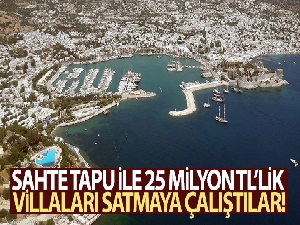 Sahte tapu ile 25 milyon TL'lik villaları satmaya çalıştılar