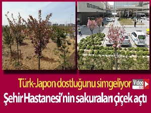 Şehir Hastanesi'nin sakuraları çiçek açtı
