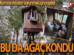 Korona virüsten korunmak için ‘ağaç kondu' yaptılar
