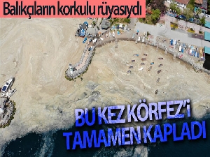 Deniz salyası bu kez Körfez'i tamamen kapladı