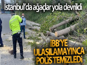 İstanbul'da ağaçlar yola devrildi: İBB'ye ulaşılamayınca polis temizledi