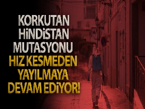 Korona virüsün Hindistan mutasyonu Polonya ve Endonezya'da görüldü