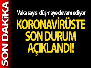 Türkiye'de son 24 saatte 24.733 koronavirüs vakası tespit edildi