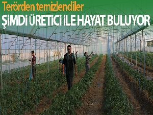 Terörden temizlenen topraklar üretici ile yeniden hayat buluyor