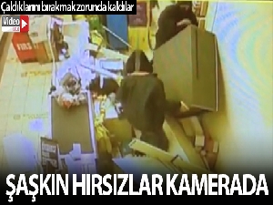 Zeytinburnu'nda şaşkın hırsızlar kamerada