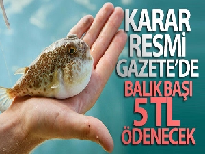 Balon balığı avcılığının desteklenmesine ilişkin karar Resmi Gazetede yayımlandı