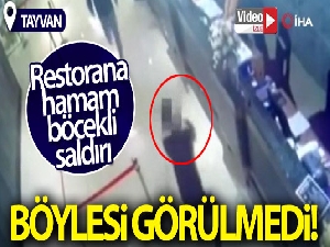 Tayvan'da restorana hamam böcekli saldırı