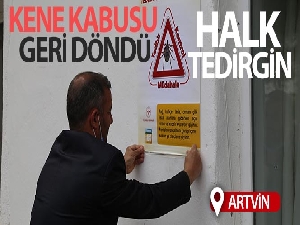 Artvin'de kene kabusu geri döndü