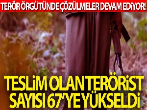 Terör örgütü PKK'da çözülme devam ediyor