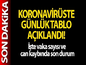 Türkiye'de son 24 saatte 22.388 koronavirüs vakası tespit edildi