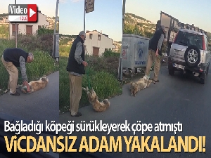 Sarıyer'de bağladığı köpeği sürükleyerek çöpe atan şahıs yakalandı