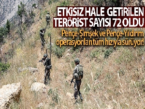 Irak'ın kuzeyinde 2 PKK'lı terörist daha etkisiz hale getirildi