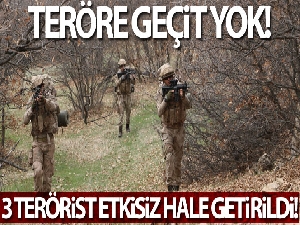 Tunceli'de 3 terörist etkisiz hale getirildi, operasyon sürüyor