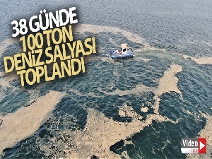 38 günde 100 ton deniz salyası toplandı