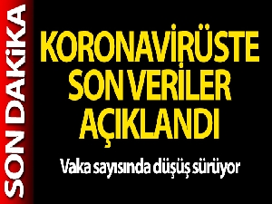 Türkiye'de son 24 saatte 18.052 koronavirüs vakası tespit edildi