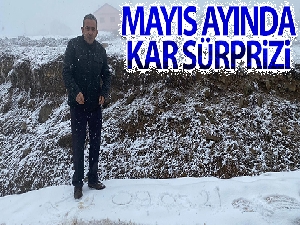 Giresun'un ardından Trabzon'un yaylalarında da kar yağışı başladı