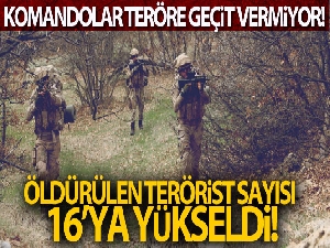 Komandolar teröre geçit vermiyor! 2 terörist daha etkisiz hale getirildi