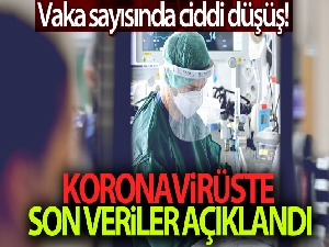 Korona virüste son durum ne? Vaka sayısı yükselişte mi?