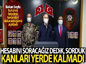 Bakan Soylu: 'Çukurca'da 3 sivili katleden turuncu listedeki terörist öldürüldü'