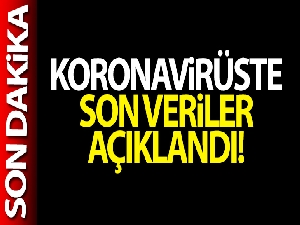 Türkiye'de son 24 saatte 11.534 koronavirüs vakası tespit edildi